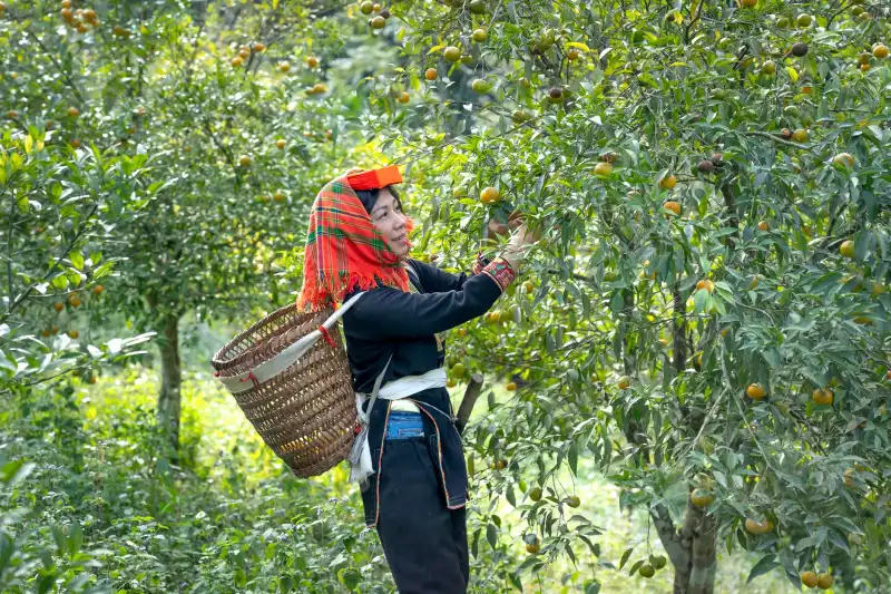 孕妇美睫专用胶水成分解析与低敏安全性评估